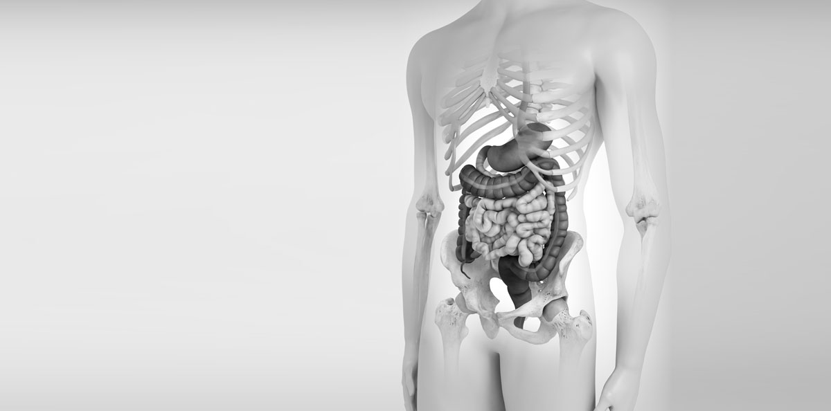 Gastroentérologie